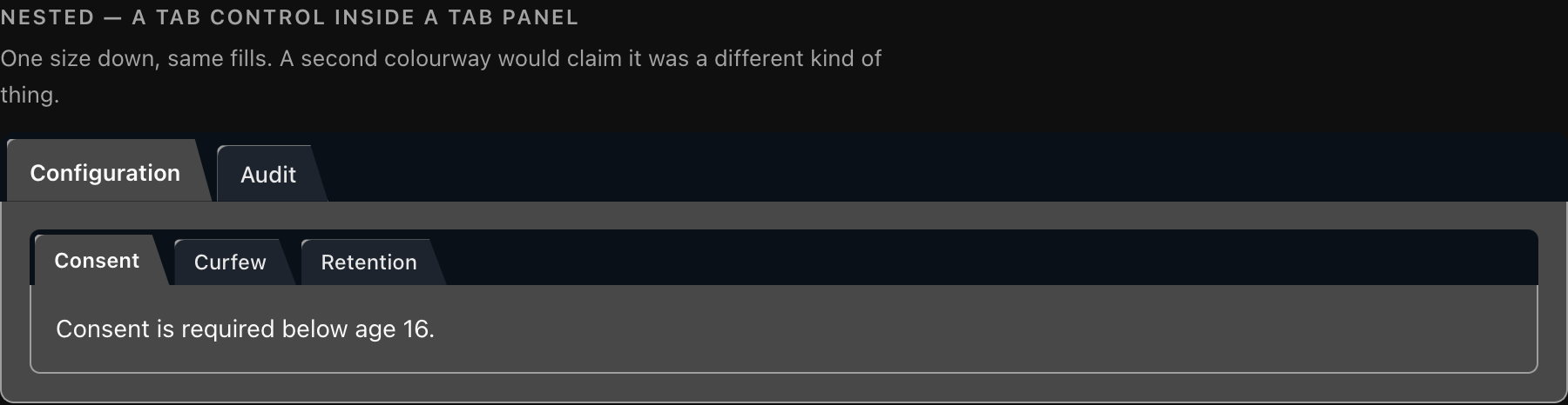 A tab control inside a tab panel in dark theme, rendered one size smaller with the same colours
