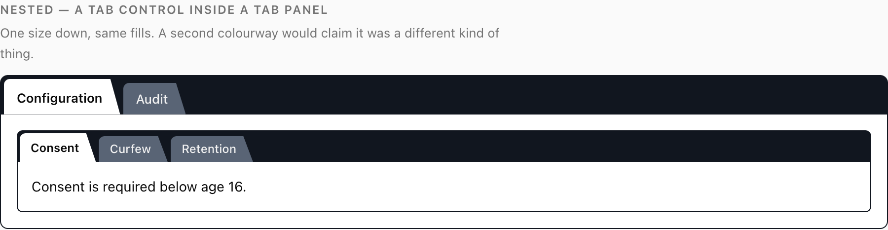 A tab control inside a tab panel in light theme, rendered one size smaller with the same colours